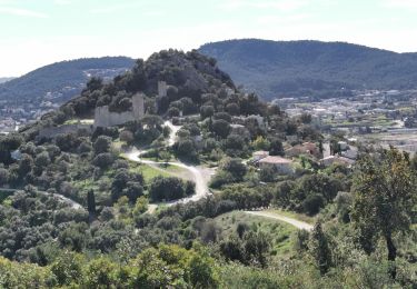 Excursión Senderismo La Crau - Chapelle du Fenouillet & Château de Hyères - Photo