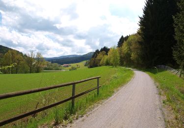 Tour Zu Fuß Rattenberg - Hammersdorfer Rundweg (Rattenberger Wanderweg 6) - Photo