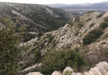 Tocht Lopen Cheval-Blanc - Luberon-19122019 - Photo