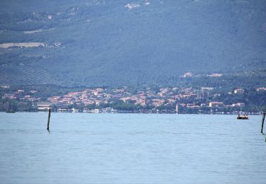 Tour Zu Fuß Passignano sul Trasimeno - La Martinella - Photo