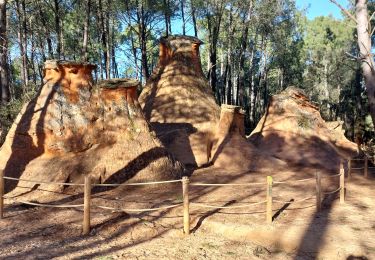 Excursión Senderismo Bédoin - Christmas Day / Les Demoiselles coiffées - Photo