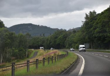 Excursión A pie  - Birnam Riverside Path - Photo