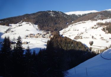 Tocht Te voet San Martin de Tor - San Martino in Badia - St. Martin in Thurn - IT-5 - Photo