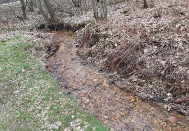 Tour Wandern Spa - grand tour de la fagne depuis Malchamps - Photo