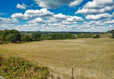 Tour Mountainbike Wirten - Ruette  -  Balade_VTT_14kms - Photo