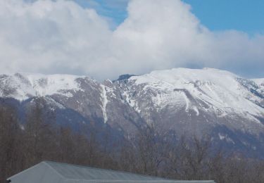 Tour Zu Fuß Unbekannt - Bărbătești - Dealul Siliștea - Poiana Scărișoara - Schitul Pătrunsa - Curmătura Builei - La Troiță - Valea Costești - Photo