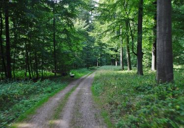 Tour Zu Fuß Scharbeutz - Neukoppel - Photo