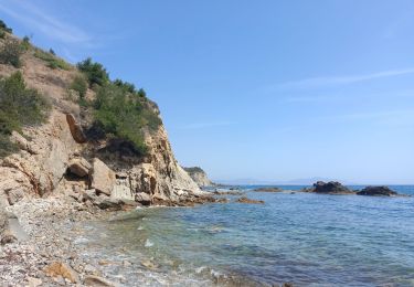 Excursión Senderismo Le Rove - La Côte Bleue - Niolon Ensues la Redonne - Le 02 juin 2022 - Photo