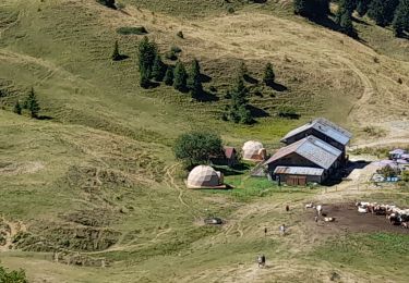 Trail Walking La Roche-sur-Foron - GLIERES / BORNES: COL DU COU - CHALET DE BALME - Photo