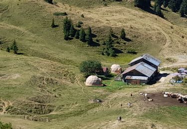 Tour Wandern La Roche-sur-Foron - GLIERES / BORNES: COL DU COU - CHALET DE BALME - Photo