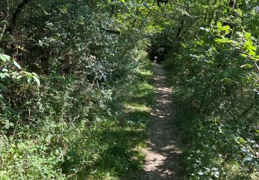 Trail Walking Rieux-Volvestre - La Garonne rieux Volvestre dans le 31 - Photo