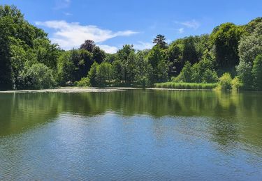 Trail Walking Rueil-Malmaison - aaaa - Photo