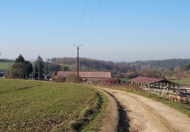 Trail Walking Rosoy - La Charbonnière 230214 - Photo