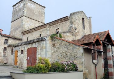 Tocht Te voet Chauriat - Les Coteaux de Chauriat - Photo