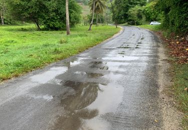 Percorso Corsa a piedi Sainte-Anne - St anne - Photo