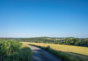 Tocht Te voet Mistelgau - Obernsees Rundwanderweg 