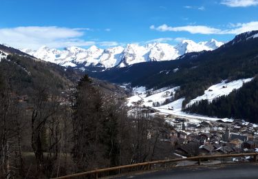 Tour Wandern Le Grand-Bornand - circuit replein ( le grand bornand ) ( Michel ) - Photo