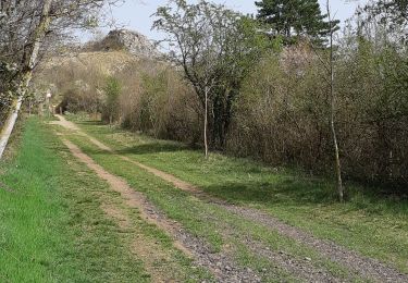 Randonnée Marche Cournon-d'Auvergne - LES COTEAUX DE COURNON - Photo