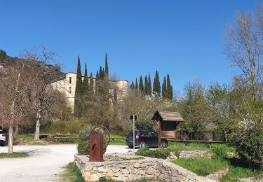 Percorso Marcia Vins-sur-Caramy - vins 30 mars 2021 - Photo