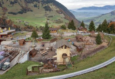 Percorso A piedi Dallenwil - Wirzweli - Gummenalp - Photo