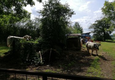 Tour Wandern Sprimont - Grande boucle Gomzé Louveigne Blindef - Photo