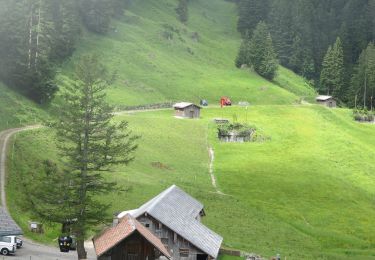 Excursión A pie Unterägeri - Urzlenboden - Geissfaren - Photo