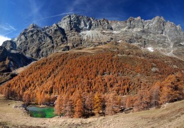 Percorso A piedi Valtournenche - Itinerario 17 Breuil/Cervinia-Bec Pio Merlo - Photo