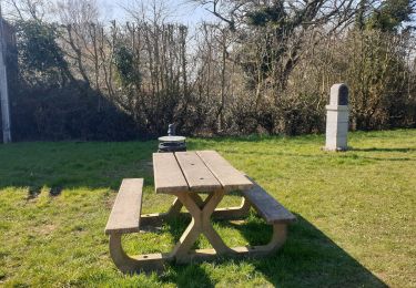 Tocht Stappen Lobbes - De Lobbes à Renlies par bois et campagne - Photo