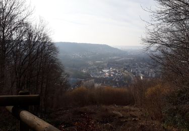 Tour Wandern Roncherolles-sur-le-Vivier - 20250218-roncherolles - Photo