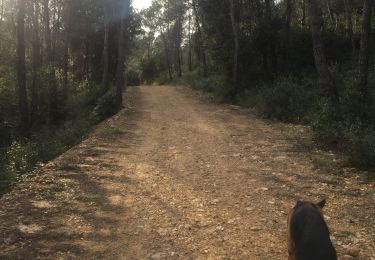 Tocht Stappen Valbonne - Les clausonnes 16 02 2020 - Photo