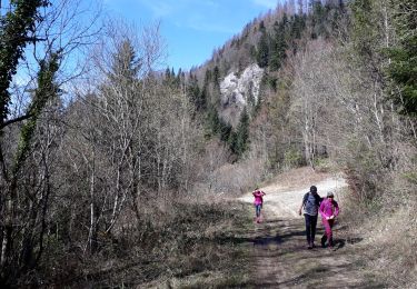 Percorso Marcia Pierrefontaine-les-Varans - La grotte de la glacière du Roi - Photo