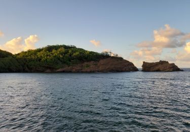 Excursión Senderismo Sainte-Marie - raccourci de l'anse à zéro vers anse du four.  - Photo