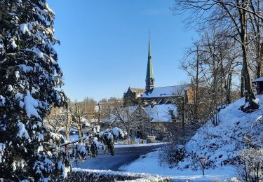 Excursión Senderismo Dalhem - dalhem-val dieu sous la neige  - Photo