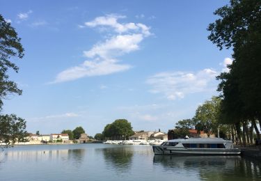 Excursión Senderismo Castelnaudary - Castelnaudary - Photo
