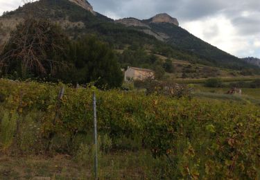 Excursión Senderismo Vercheny - Château de Barry - Photo