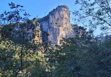 Percorso Marcia Labastide-de-Virac - les gorges de l'Ardèche  - Photo