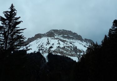 Excursión Raquetas de nieve Le Sappey-en-Chartreuse - Eimendras du dessus en circuit - Photo