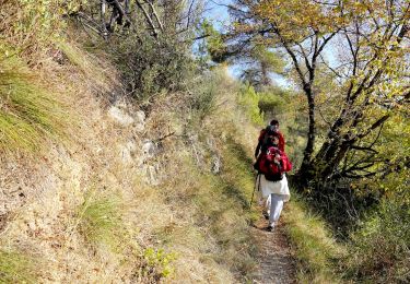 Excursión Senderismo Sospel - De Sospel au Col du Pérus - Photo