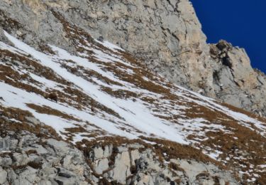 Tocht Sneeuwschoenen Pralognan-la-Vanoise - Bachor - Photo