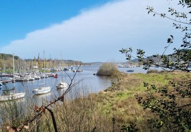 Trail Walking Béganne - FOLLEUX 17 MARS 2022 CA - Photo