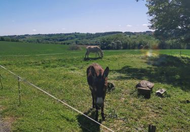 Percorso A piedi Saint-Sauvy - trail cote 12*30 - Photo