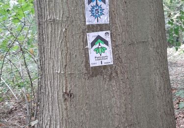 Trail Walking Binche - Buvrinnes 21 10 23 - Photo