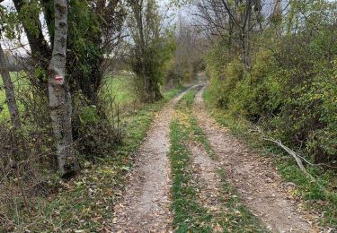 Randonnée Marche Saint-Geniez - Rando St Gêniez (04) - Photo