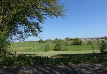 Trail Walking Neufchâteau - Tronquoy - Sberchamps - Photo