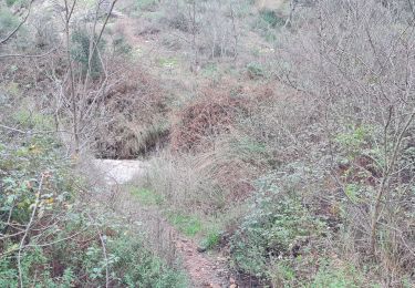 Tour Wandern Bormes-les-Mimosas - Chartreuse de la Verne - Photo