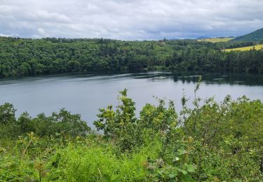 Tour Wandern Charbonnières-les-Vieilles - Charbonniere les vieilles_Tazenat_T - Photo