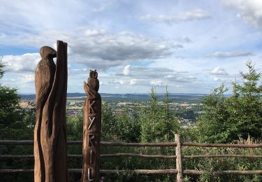 Percorso A piedi Ilmenau - Ilmenauer Naturpfad - Photo