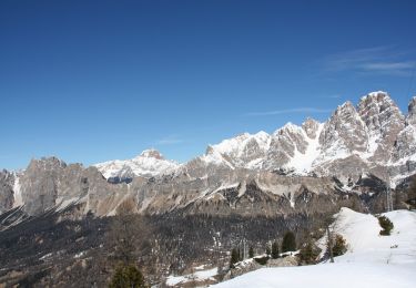 Percorso A piedi Marebbe - IT-10 - Photo