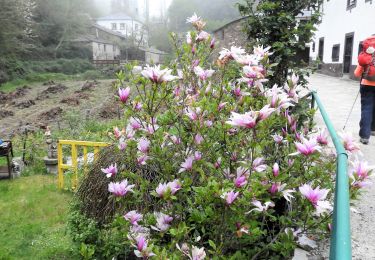 Tocht Stappen Triacastela - 08.05.18 Triacastela--Sarria - Photo