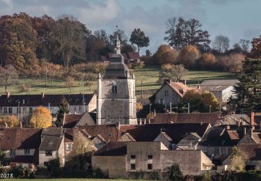 Trail Walking Bretoncelles - Les Bruyères du Noyer 13,0 Km - Photo